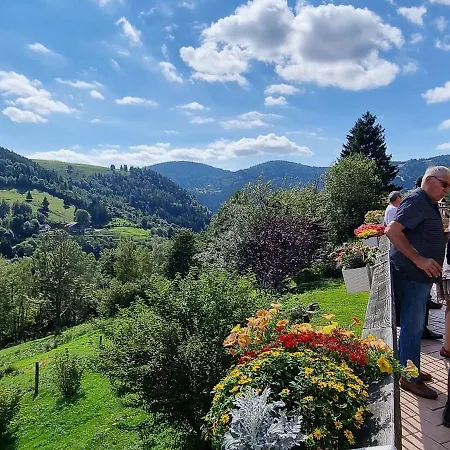 Maison D'hotes A Ventron, A Proximite De La Bresse Et Gerardmer - Fr-1-589-567 3* Ventron