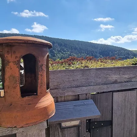 Maison D'hotes A Ventron, A Proximite De La Bresse Et Gerardmer - Fr-1-589-567 Couette-café 3*