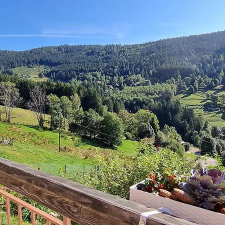 Maison D'hotes A Ventron, A Proximite De La Bresse Et Gerardmer - Fr-1-589-567 Couette-café 3*
